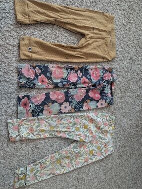 Little And Lively 2T Kids Floral Leggings Pack - Beehive, Cactus Floral, Floral